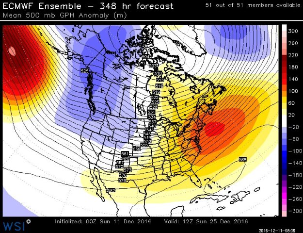 czzb3_bukaaa_11-jpg-large